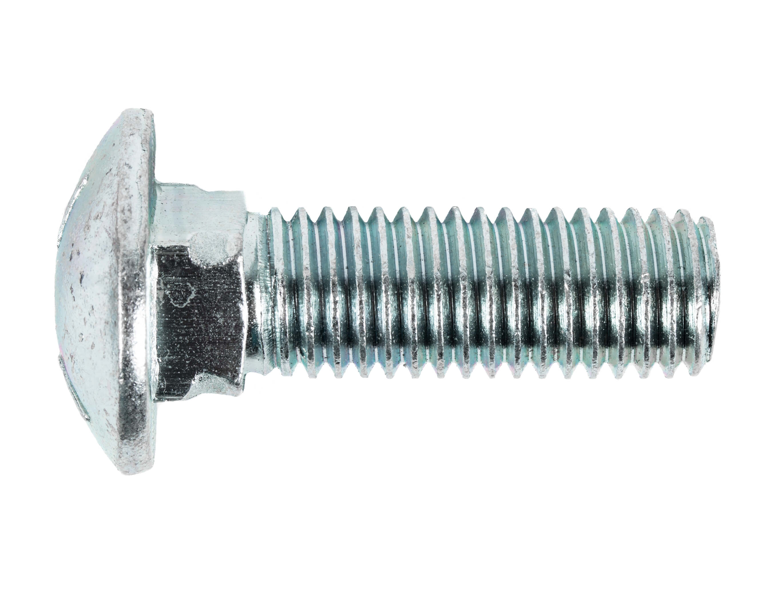 Carriage Bolt