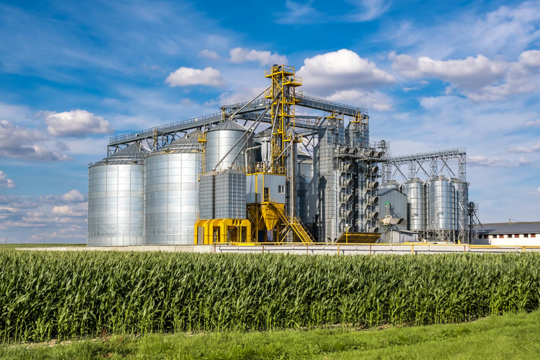 Agriculture Industry
